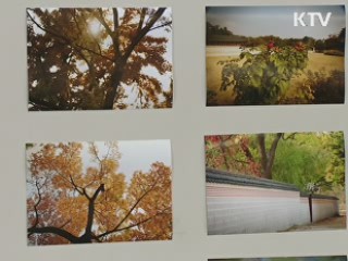 문화예술인들, 재능 씨앗 뿌린다