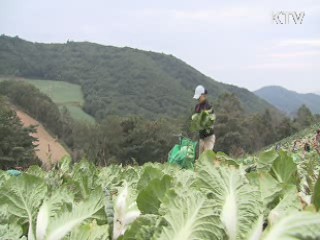 농수산물 유통구조 개선대책 오후 발표