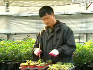 농지조합 지원 농민 자립 결실 영농인의 희망