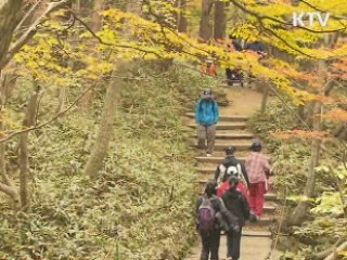 단풍으로 물든 한라산