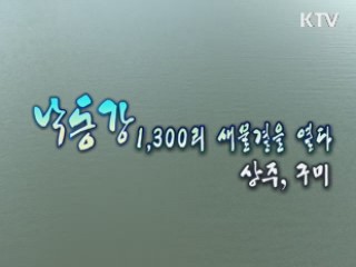 낙동강 1,300리 새 물결을 열다. [강따라 길따라]