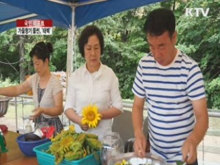 가을향기 물씬, '태백' 야생화 만발 [국민리포트]