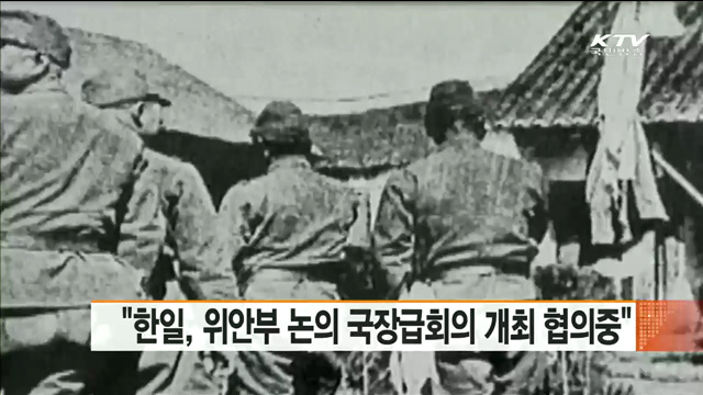 "한일, 위안부 논의 국장급회의 개최 협의중"