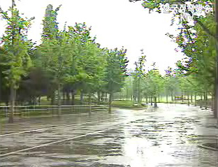 6월 중순 장마 시작