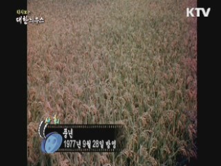 다시보는 대한늬우스 (77.09.28) 이미지