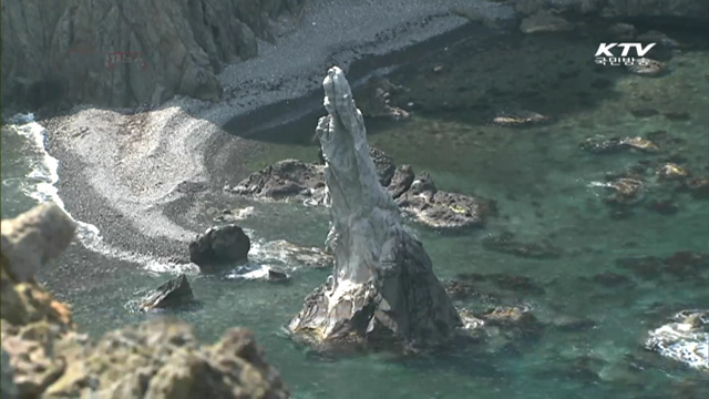 美 "남북 이산가족 상봉 환영"…이민자 상봉도 촉구 [이 시각 국제뉴스]