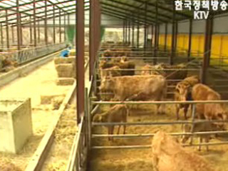 경쟁력 강화가 관건