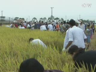 10월 전국 방방곡곡 풍성한 축제