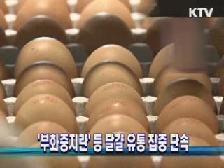 '부화중지란' 등 달걀 유통 집중 단속