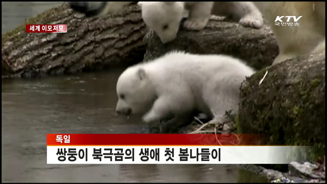 타이완 국회, 대학생 점거로 업무 마비 [세계 이모저모]