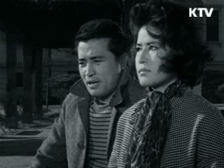 영화세상