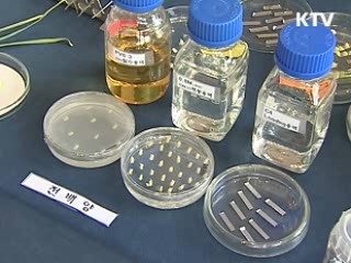 세계최초 마늘 동결보존 기술 개발