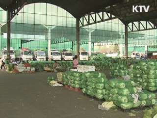정부 지원정책 힘입어 농산물 수출 '쑥쑥'
