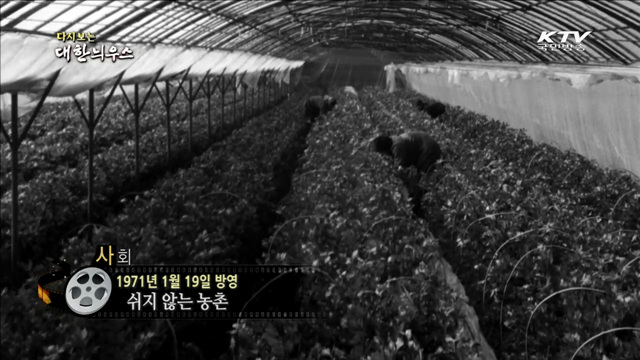 다시보는 대한늬우스 (71.01.19) 이미지