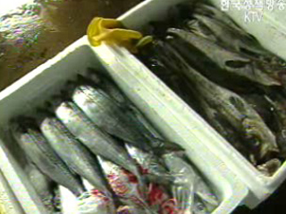 수입활어 항생물질 함유여부 조사 강화