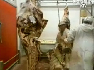 美, 쇠고기 검역 기술적 협의 요청