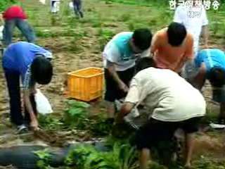 순간포착 - 어린이 농촌체험