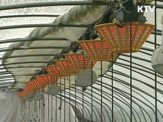 신성장동력기업 1천800억 보증지원