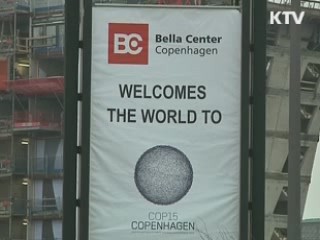 선진-개도국 가교 역할로 주도권 잡기