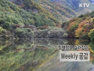 新 가족여행 오토캠핑의 모든 것 [정책 공감]