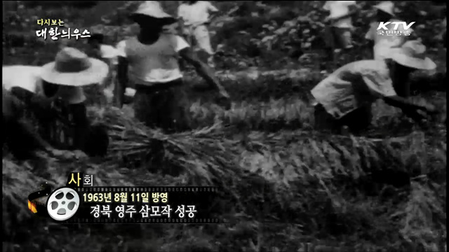 다시보는 대한늬우스 (63.08.11) 이미지