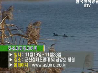 플러스 덤