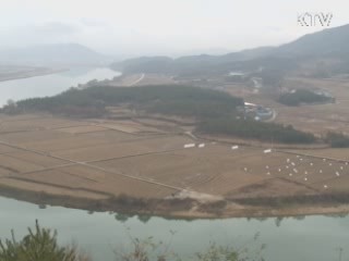 낙동강 1,300리 새 물결 [강따라 길따라]