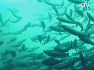FTA 시대, 수산물 수출 집중 육성