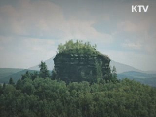 화가의 눈 [오늘의 책]