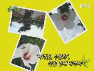 '나라꽃, 무궁화' 국민 곁에 가까이