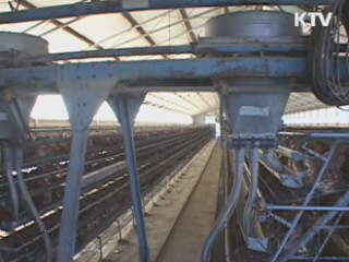 해남 야생 오리서 고병원성 AI 검출