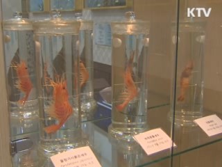 심해 생물 '한 자리에'