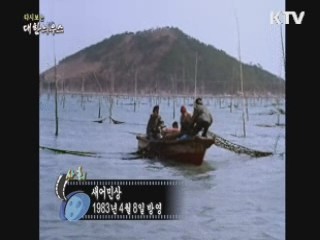 다시보는 대한늬우스 (83.04.08) 이미지