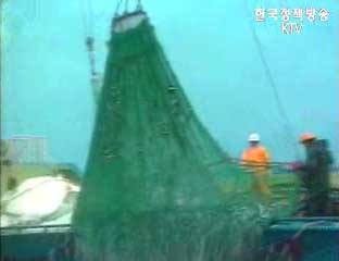 다기능 어항 내년부터 본격 개장