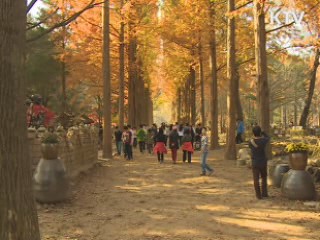 토요 문화 프로그램 무료로 즐기세요