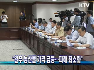 "일부 농산물 가격 급등…피해 최소화"