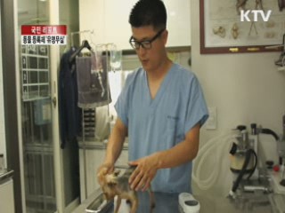 반려동물 등록제 '유명무실' [국민리포트]