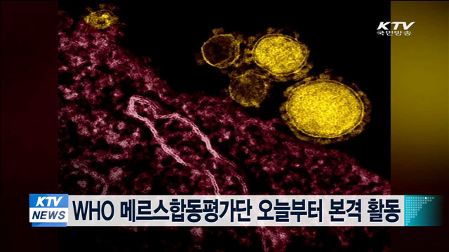 WHO 메르스합동평가단 오늘부터 본격 활동