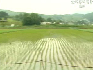 농지 감소율 오히려 높아