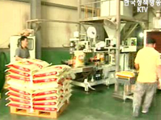 `국산 둔갑` 중국쌀 DNA 검사 본격 도입