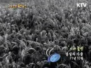 우리는 건설한다(69') 이미지