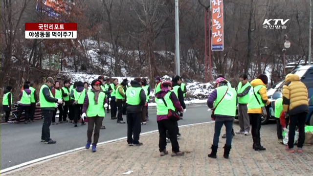 한파에 굶주린 야생동물 먹이주기 [국민리포트]