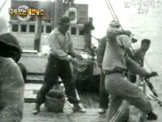 신기한 물고기, 활치 잡이, 제주도(`62) 이미지