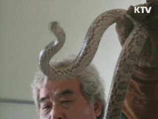 야생동물 불법 포획 기승