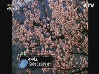 다시보는 대한늬우스 (86.03.28) 이미지