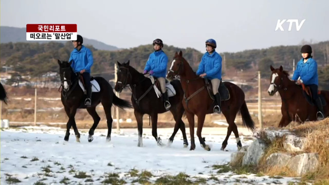 한국의 미래성장 '말 산업' 육성 [국민 리포트]