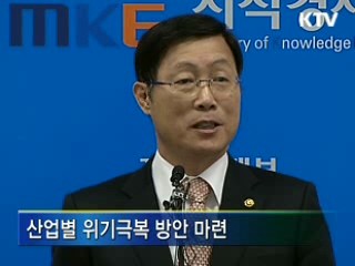 실물경제 침체, 범정부 대처