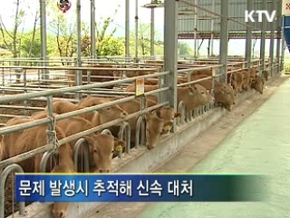 이력추적제 시행, 뉴타운 조성