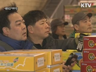 '감귤도 스마트 시대'