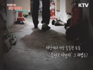 KTV 100년의 행복, 희망 대한민국 + (81회)